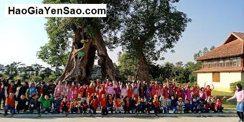 Danh Sách 4 Trung tâm, Cơ quan giáo dục H. Hậu Lộc, T. Thanh Hoá