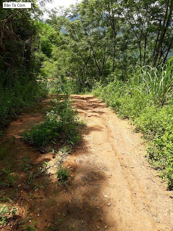 Bản Tà Cóm
