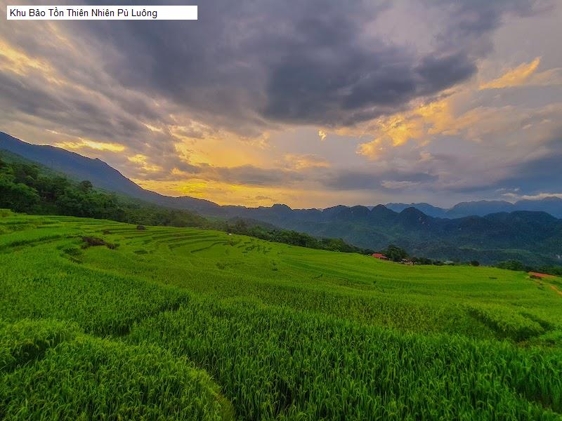 Khu Bảo Tồn Thiên Nhiên Pù Luông