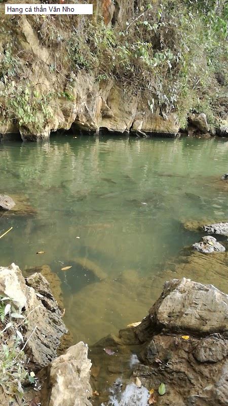 Hang cá thần Văn Nho