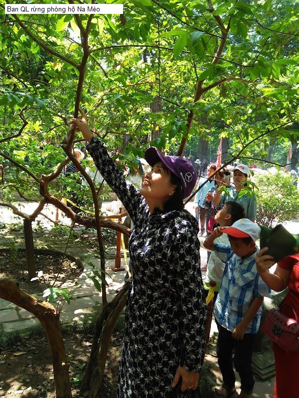 Ban QL rừng phòng hộ Na Mèo