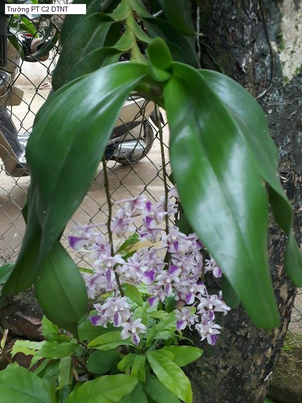 Trường PT C2 DTNT