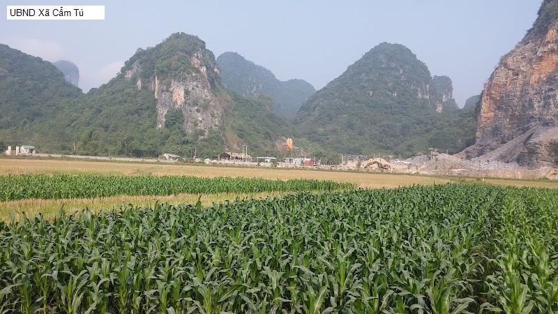 UBND Xã Cẩm Tú