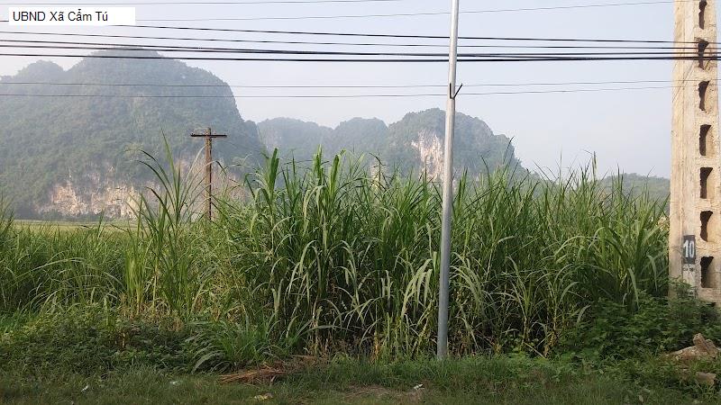 UBND Xã Cẩm Tú