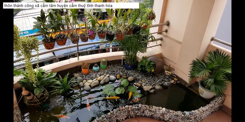 thôn thành công xã cẩm tâm huyện cẩm thuỷ tỉnh thanh hóa