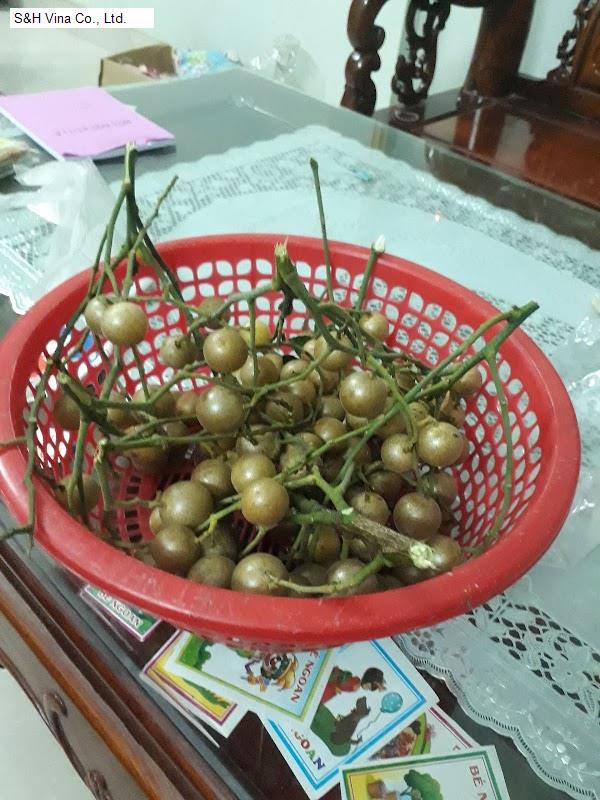 S&H Vina Co., Ltd.
