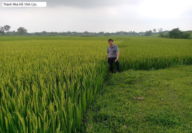 Thành Nhà Hồ Vĩnh Lộc