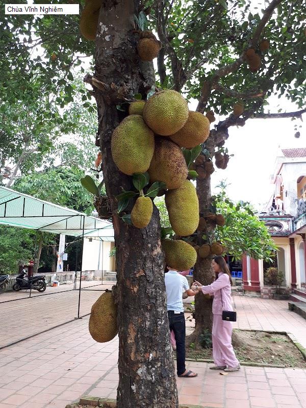 Chùa Vĩnh Nghiêm