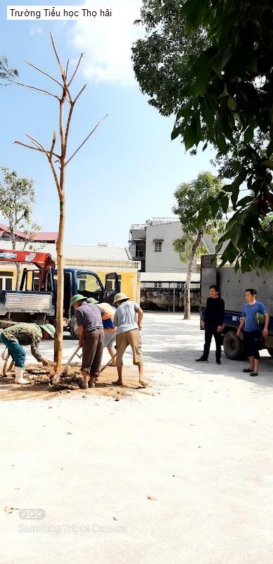 Trường Tiểu học Thọ hải