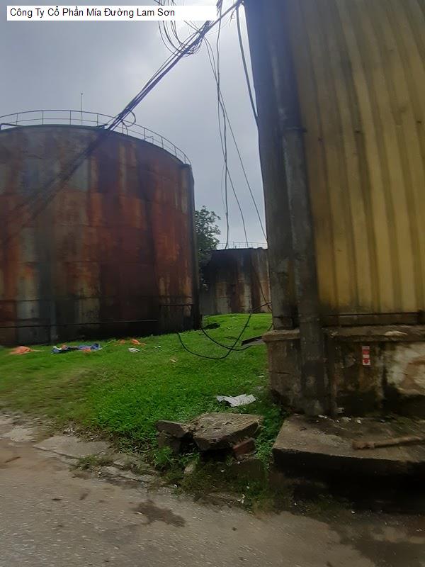 Công Ty Cổ Phần Mía Đường Lam Sơn