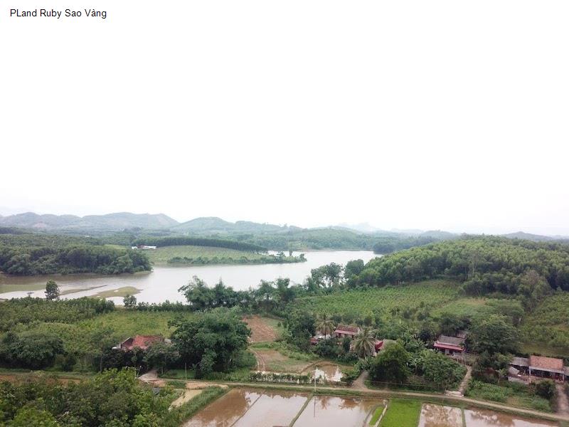 PLand Ruby Sao Vàng