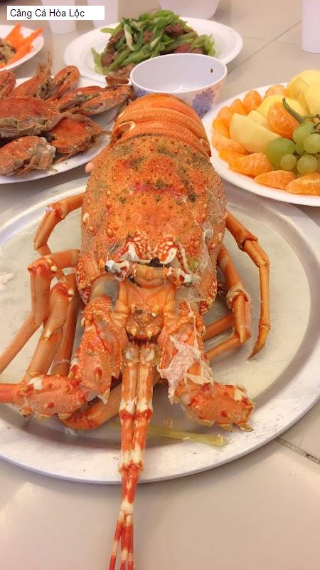 Cảng Cá Hòa Lộc