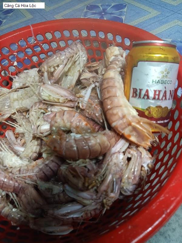 Cảng Cá Hòa Lộc