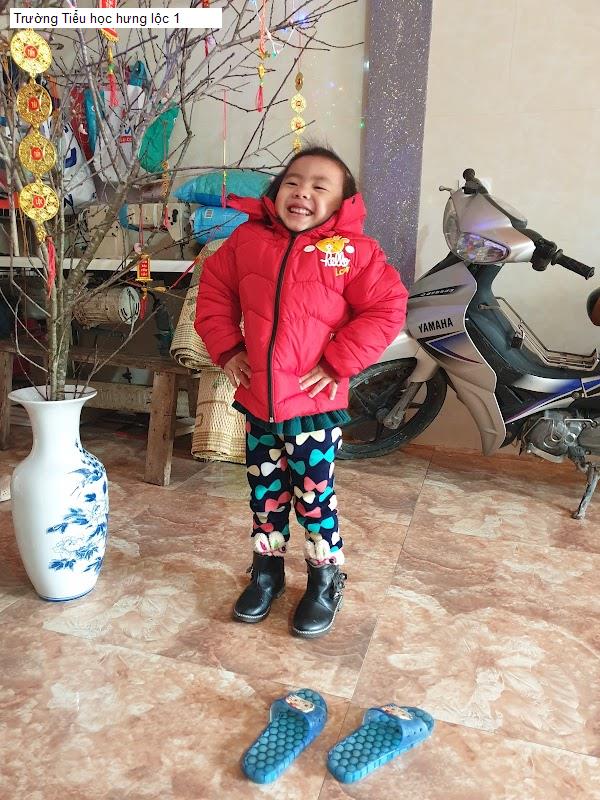 Trường Tiểu học hưng lộc 1