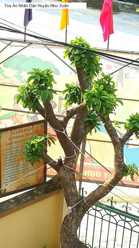 Tòa Án Nhân Dân Huyện Như Xuân
