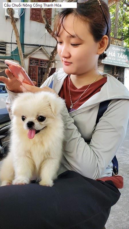 Cầu Chuối Nông Cống Thanh Hóa