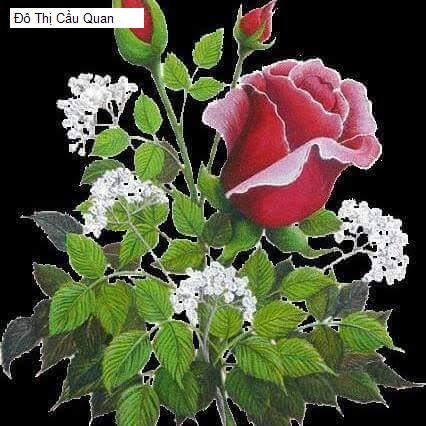 Đô Thị Cầu Quan