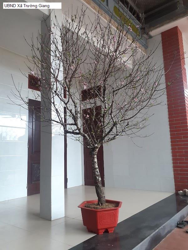 UBND Xã Trường Giang