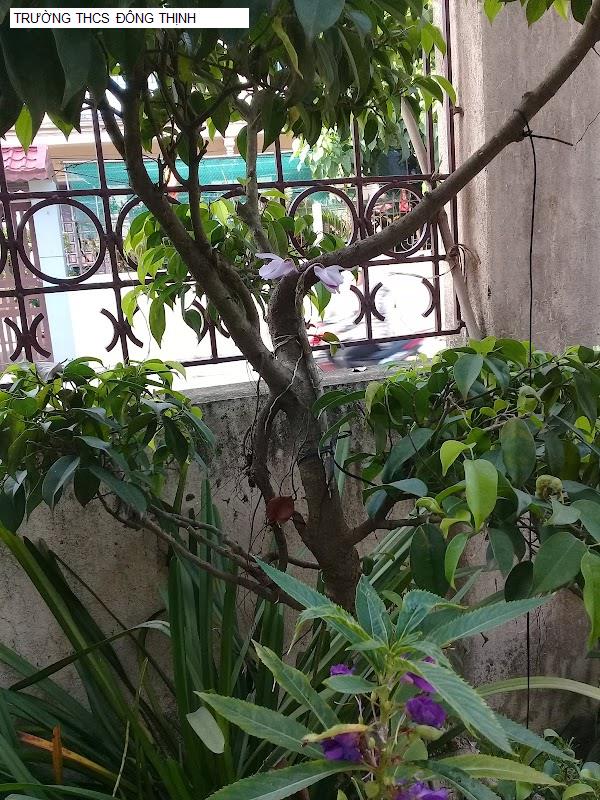 TRƯỜNG THCS ĐÔNG THỊNH