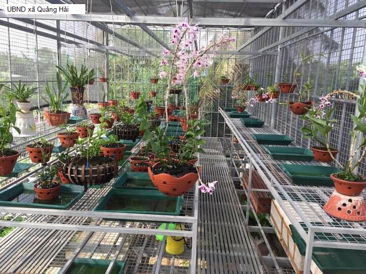 UBND xã Quảng Hải