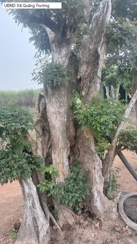 UBND Xã Quảng Trường